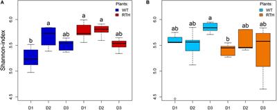 Soil Texture, Sampling Depth and Root Hairs Shape the Structure of ACC Deaminase Bacterial Community Composition in Maize Rhizosphere